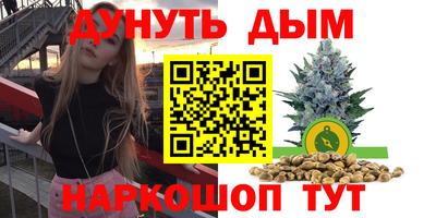 мдпв Кимры