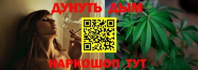 мдпв Кимры