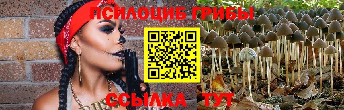 Галлюциногенные грибы мицелий Корсаков
