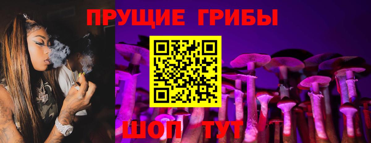 закладка  Галлюциногенные грибы ЛСД  Корсаков  Вход с VPN  Галлюциногенные грибы мицелий 